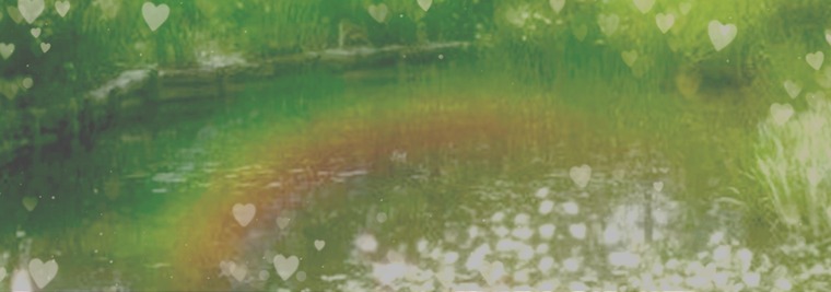 Envi banner image