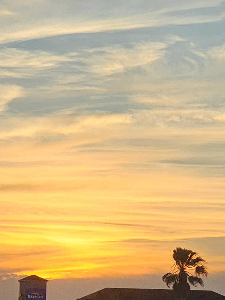 Sweet baby doll cover image