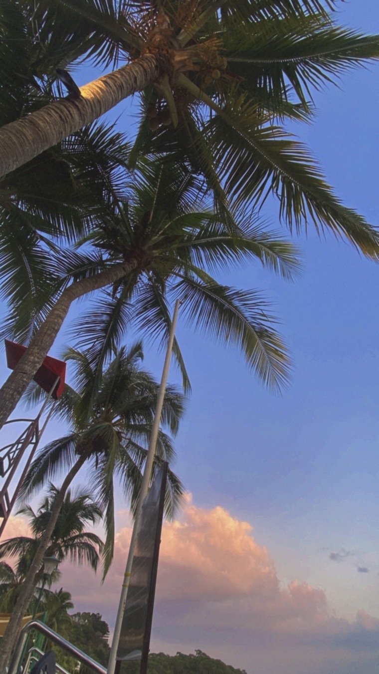 Yovng Skinny banner image