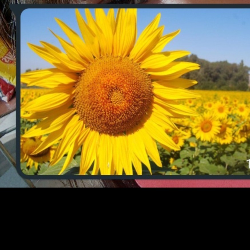 Ysabel π» banner image
