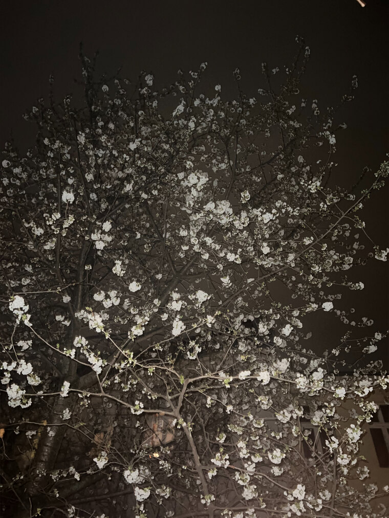 yumiii banner image