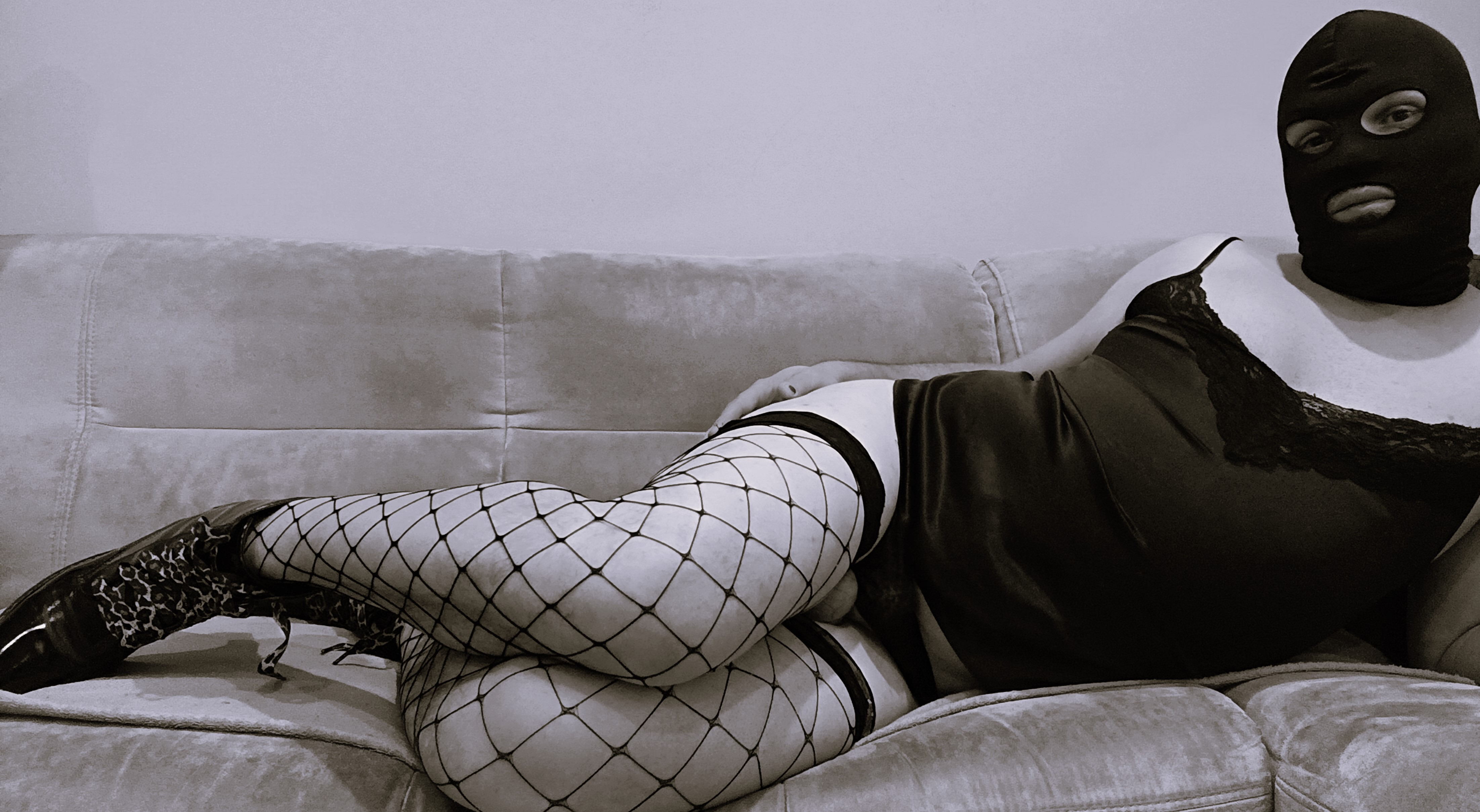CDtammi banner image