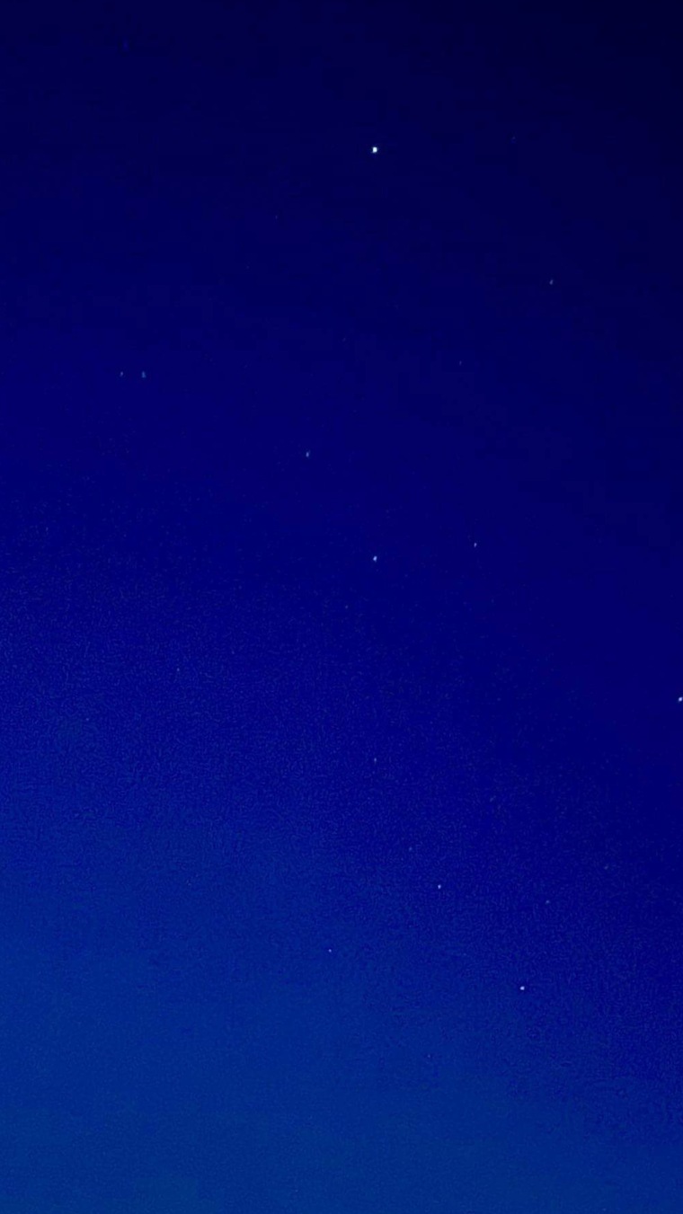 Yung Baby Gravyy banner image