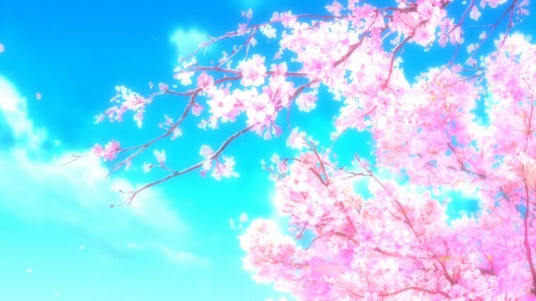 Yuuky Nyaa banner image