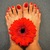 Yuzu Twinkle Toes avatar