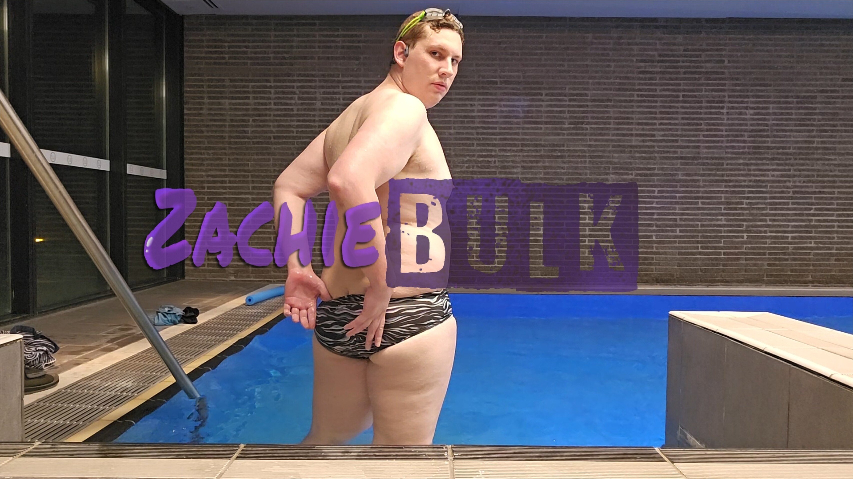 Zachiebulk banner image