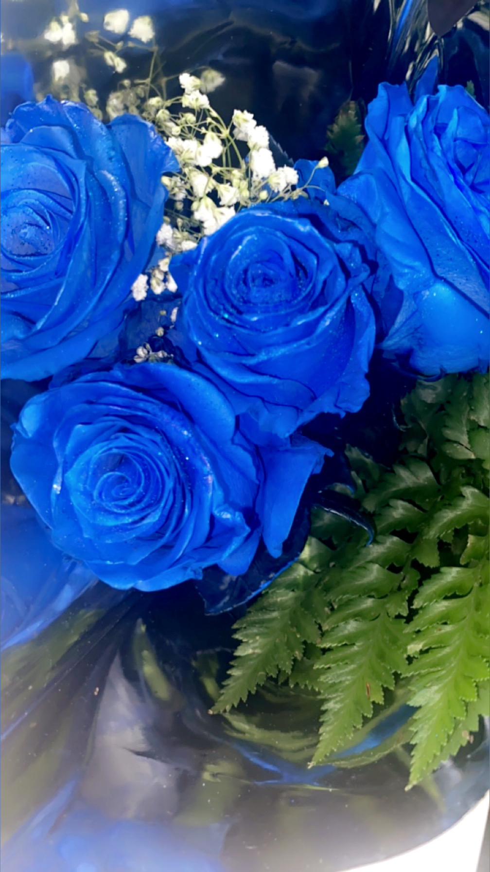 Rose NRG banner image