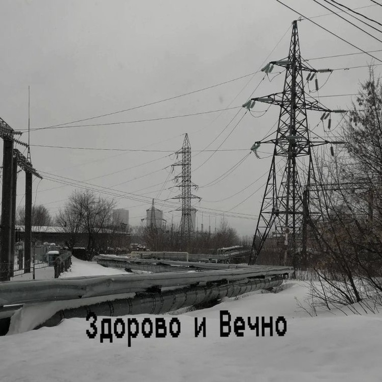 Skrotchevo banner image