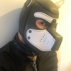 Zak avatar