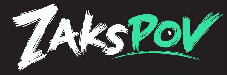 Zaks POV cover image