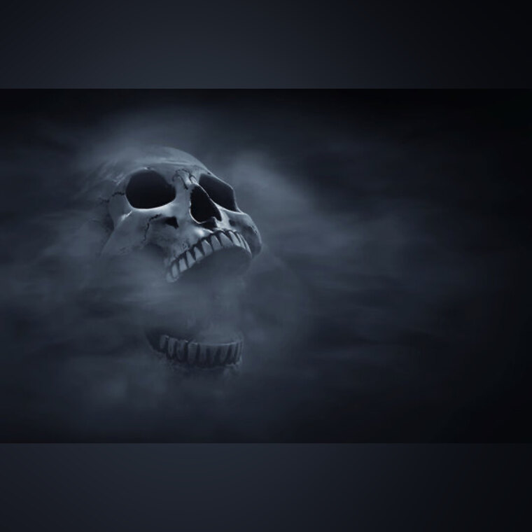 ZamoraNyx banner image