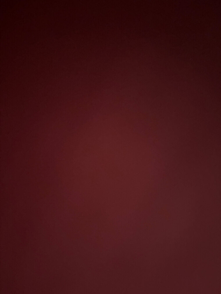 Melania Zara cover image