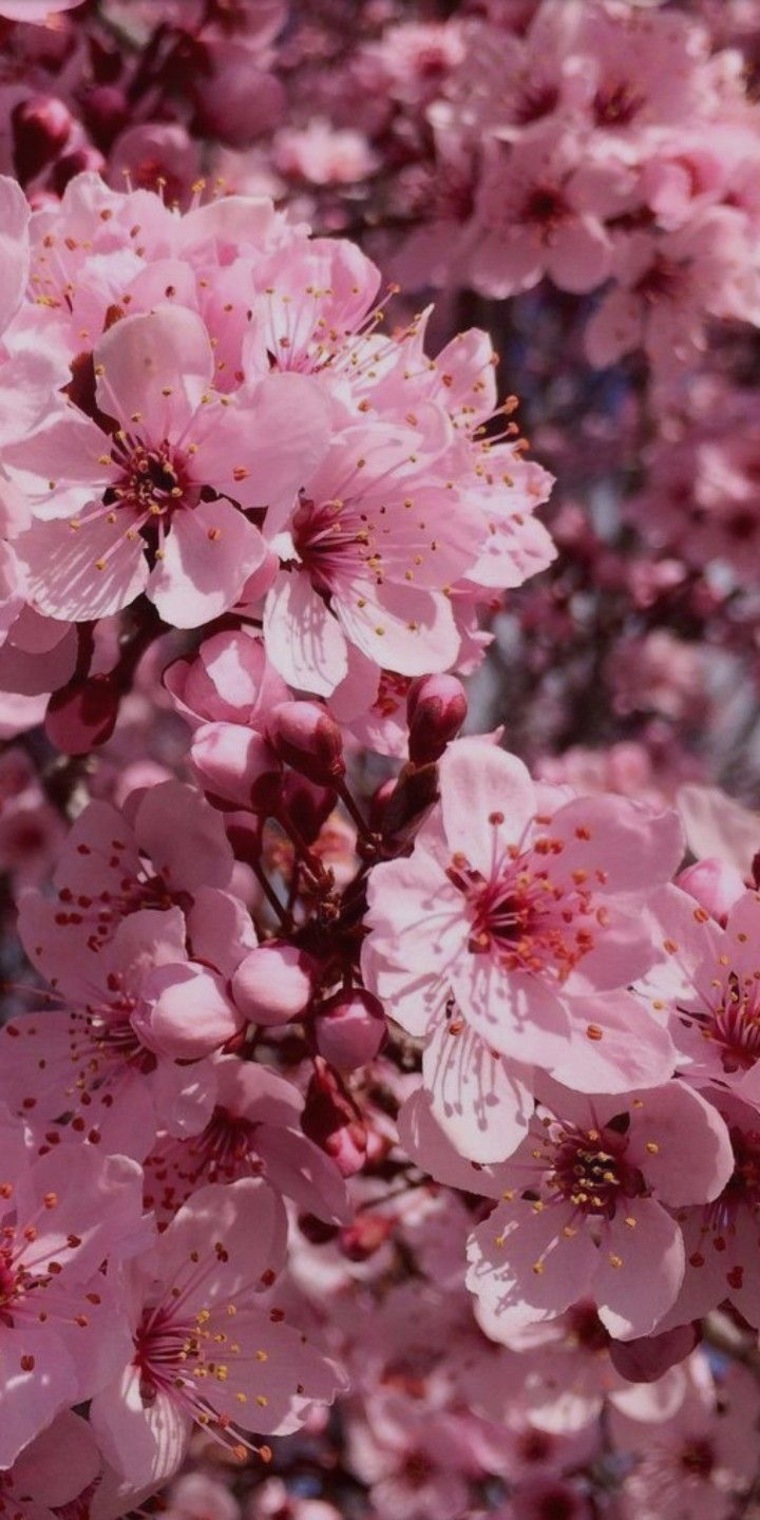 Zarabien banner image
