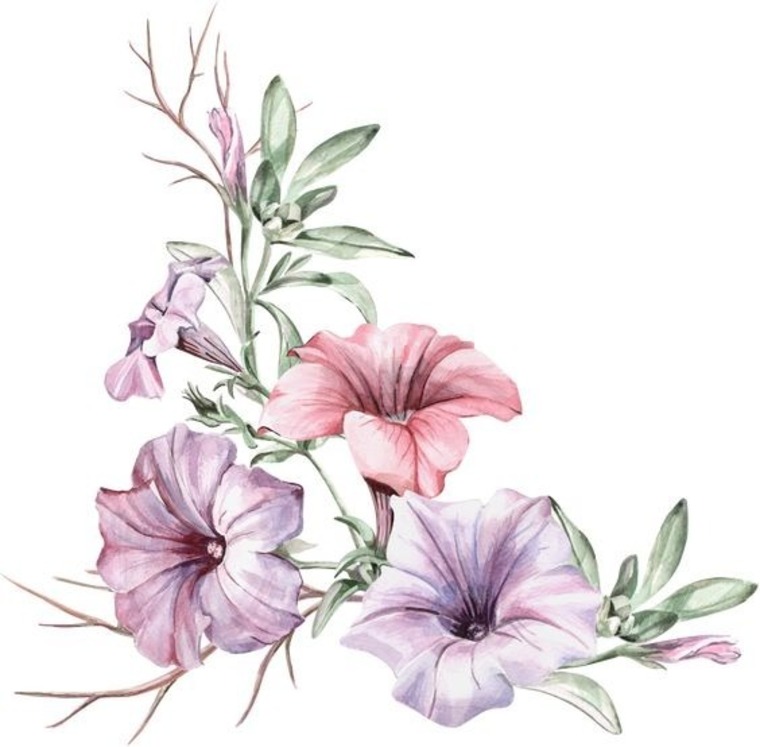 Zararojas banner image