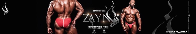 Zayn cover image