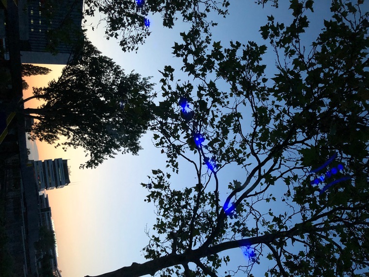 Zay Pleaze banner image