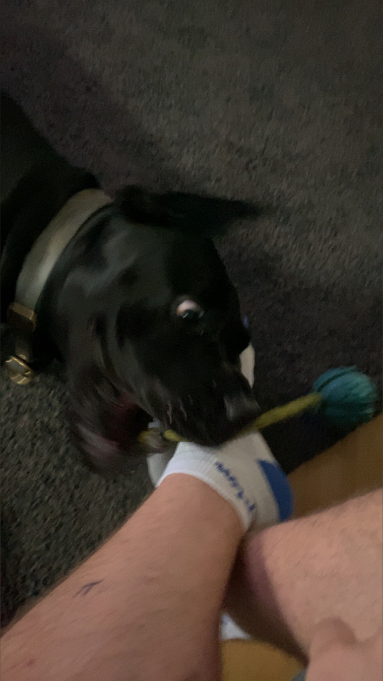 toe and feet pics for u banner image