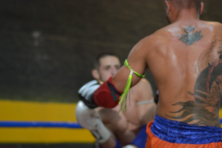 Zé Marco banner image