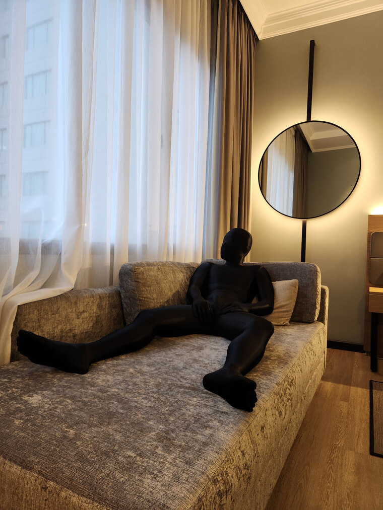 Zentai Will cover image