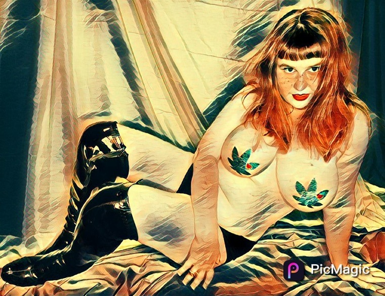 ZenziFox banner image