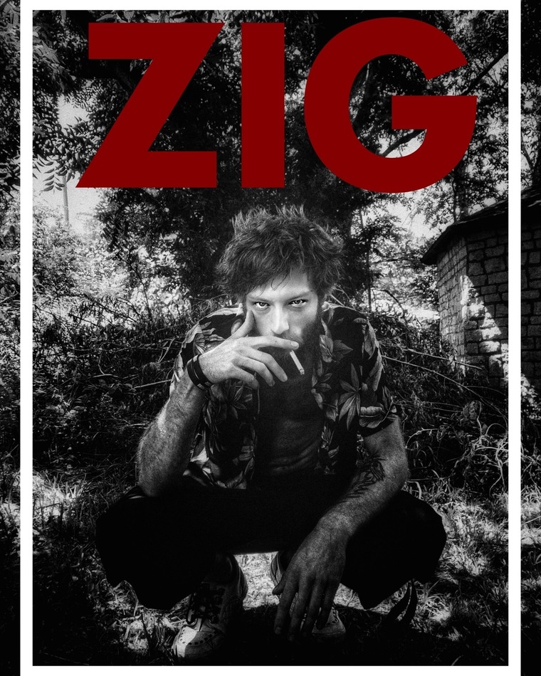 Zig D Zanity cover image