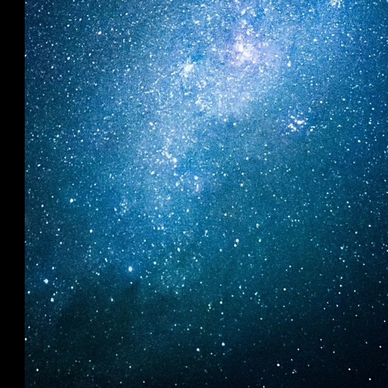 69zionatural69 banner image