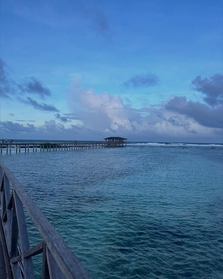 Zoeeev cover image