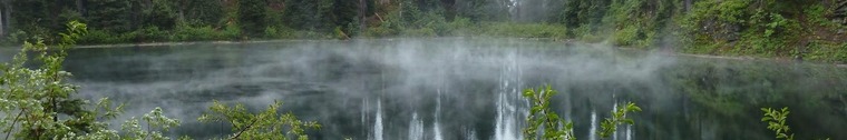 Zomniac banner image