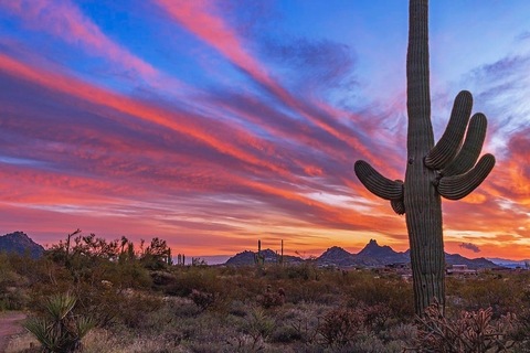 Zona cover image